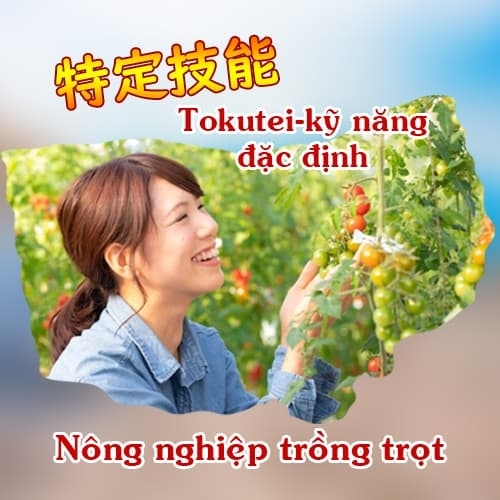 Tokutei gino - Nông nghiệp trồng trọt